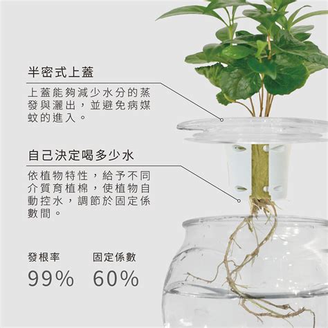 室內水生植物盆栽|水耕盆栽完整栽培指南！水耕盆栽技巧與用具教學＆十。